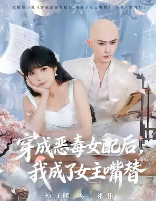 穿成恶毒女配后,我成了女主嘴替&陆总,夫人她改邪归正(80集全)孙子航&祁乐-初遇资源网