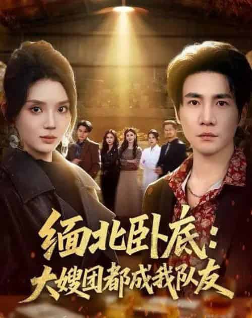 缅北卧底:大嫂团都成我队友(71集全)李想&文静-初遇资源网