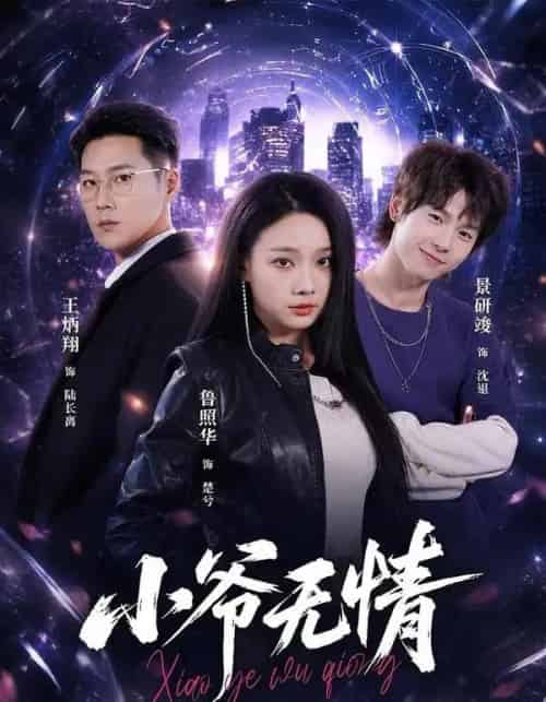 小爷无情(75集全)景研竣&鲁照华&王炳翔-初遇资源网