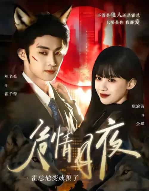 危情月夜:霍总他变成狼了(70集全)陈名豪&康渝茜-初遇资源网