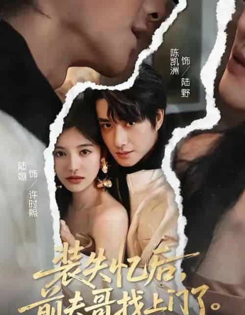 装失忆后,前夫哥找上门了(60集全)陈凯洲&陆翊-初遇资源网