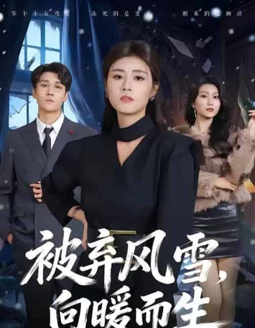 被弃风雪,向暖而生(60集全)郭嘉铭&邹洁仪-初遇资源网