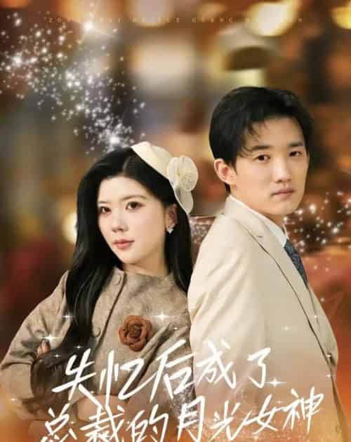 失忆后成了总裁的月光女神(60集全)吴炫汶&耿熙呈-初遇资源网