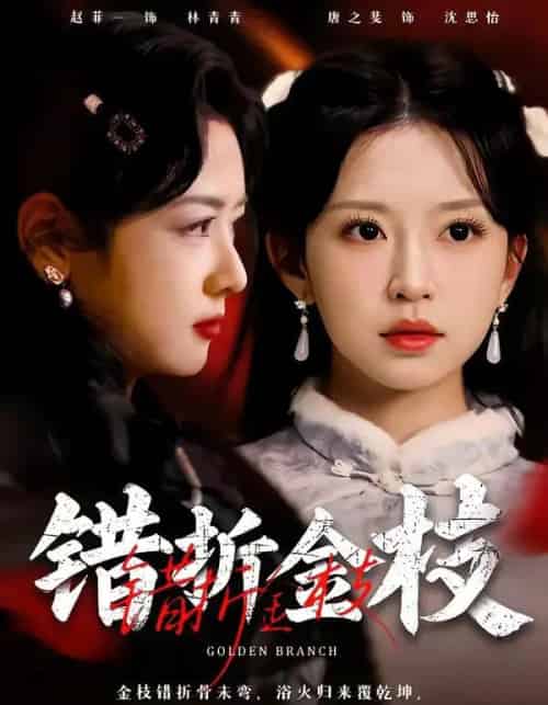 错折金枝(46集全)金泽元&唐之斐-初遇资源网